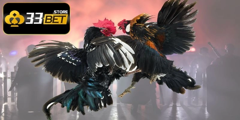 Game cực kỳ thú vị với đa dạng hình thức chơi